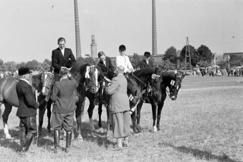 ARH NL Dierssen 1049/0021, Reitturnier, Springe, 1950