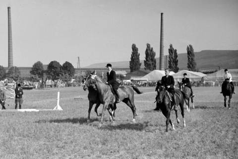 ARH NL Dierssen 1049/0022, Reitturnier, Springe, 1950