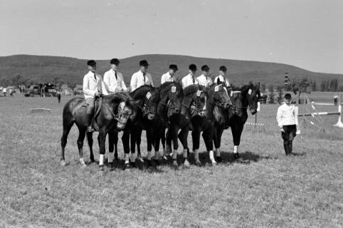 ARH NL Dierssen 1049/0024, Reitturnier, Springe, 1950