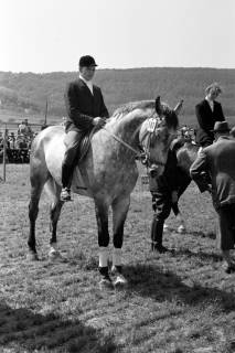 ARH NL Dierssen 1049/0026, Reitturnier, Springe, 1950