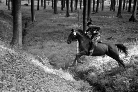 ARH NL Dierssen 1049/0027, Reitturnier, Springe, 1950