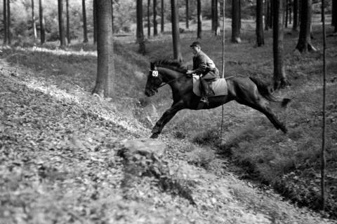 ARH NL Dierssen 1049/0029, Reitturnier, Springe, 1950