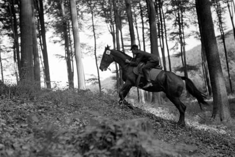 ARH NL Dierssen 1050/0001, Reitturnier, Springe, 1950