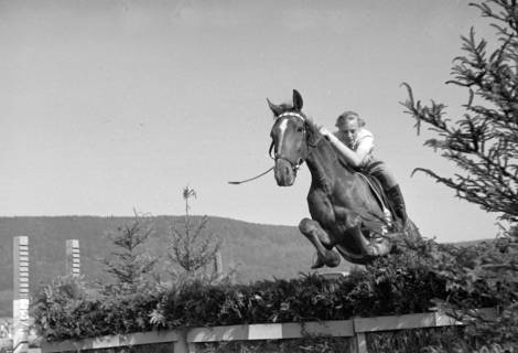 ARH NL Dierssen 1050/0005, Reitturnier, Springe, 1950