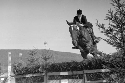 ARH NL Dierssen 1050/0008, Reitturnier, Springe, 1950