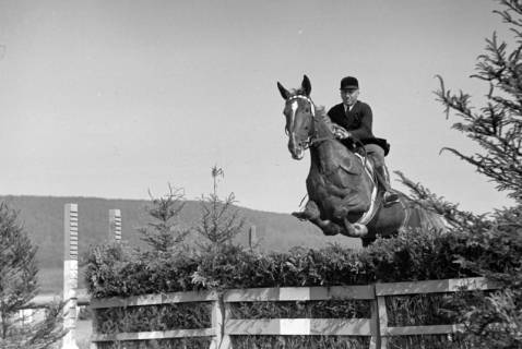 ARH NL Dierssen 1050/0010, Reitturnier, Springe, 1950