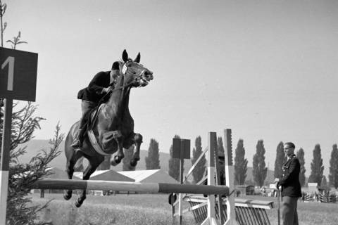ARH NL Dierssen 1050/0011, Reitturnier, Springe, 1950