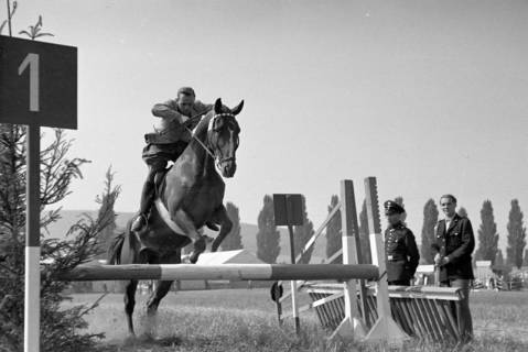 ARH NL Dierssen 1050/0016, Reitturnier, Springe, 1950