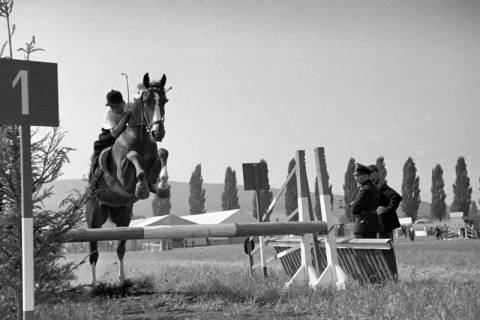 ARH NL Dierssen 1050/0018, Reitturnier, Springe, 1950