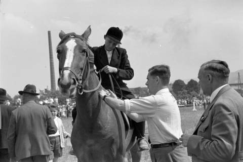 ARH NL Dierssen 1050/0028, Reitturnier, Springe, 1950