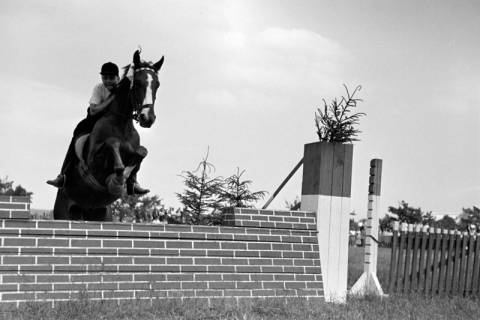 ARH NL Dierssen 1050/0030, Reitturnier, Springe, 1950