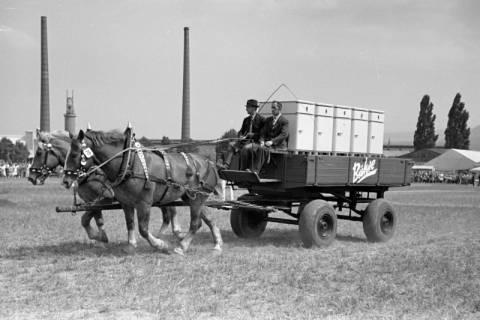 ARH NL Dierssen 1050/0031, Reitturnier, Springe, 1950
