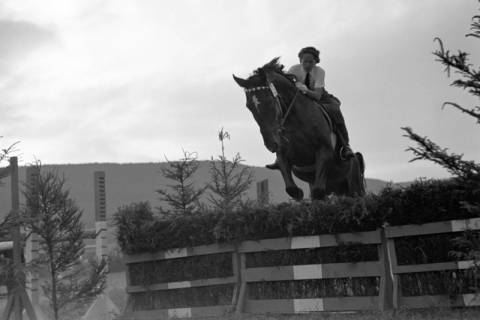 ARH NL Dierssen 1051/0017, Reitturnier, Springe, 1950