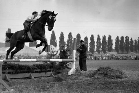 ARH NL Dierssen 1051/0018, Reitturnier, Springe, 1950