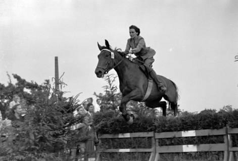 ARH NL Dierssen 1051/0020, Reitturnier, Springe, 1950