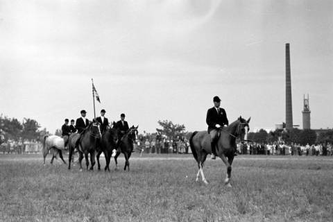 ARH NL Dierssen 1051/0026, Reitturnier, Springe, 1950