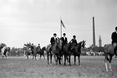 ARH NL Dierssen 1051/0027, Reitturnier, Springe, 1950