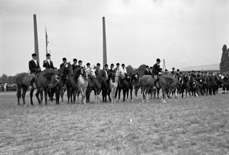 ARH NL Dierssen 1052/0001, Reitturnier, Springe, 1950