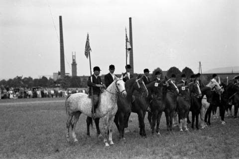 ARH NL Dierssen 1052/0003, Reitturnier, Springe, 1950