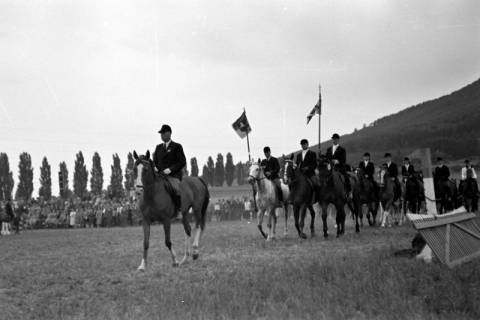 ARH NL Dierssen 1052/0004, Reitturnier, Springe, 1950