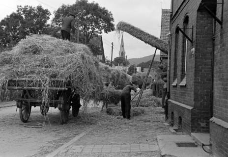 ARH NL Dierssen 1068/0006, Lohndreschen bei Schnelle, Springe, 1950