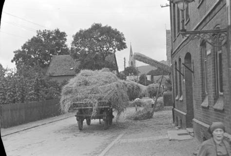 ARH NL Dierssen 1069/0001, Lohndreschen bei Schnelle, Springe, 1950