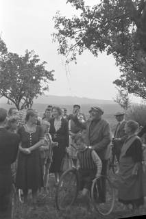 ARH NL Dierssen 1073/0006, Versteigerung der städtischen Apfelbäume, Springe, 1950