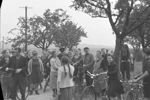 ARH NL Dierssen 1073/0007, Versteigerung der städtischen Apfelbäume, Springe, 1950