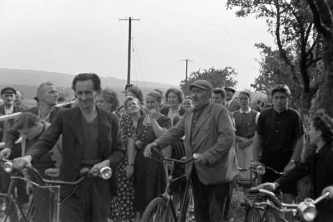 ARH NL Dierssen 1073/0008, Versteigerung der städtischen Apfelbäume, Springe, 1950