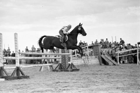 ARH NL Dierssen 1074/0005, Reitturnier, Eldagsen, 1950