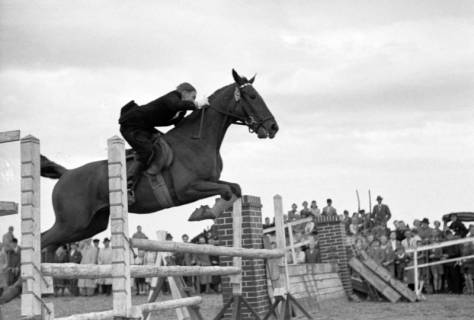 ARH NL Dierssen 1074/0007, Reitturnier, Eldagsen, 1950