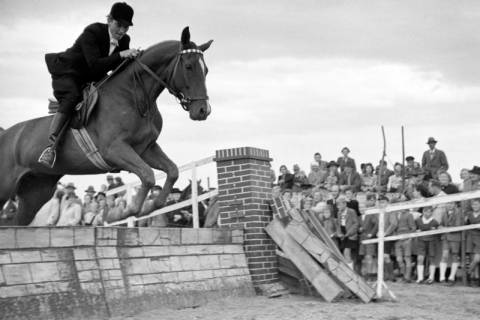 ARH NL Dierssen 1074/0008, Reitturnier, Eldagsen, 1950