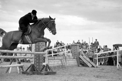 ARH NL Dierssen 1074/0009, Reitturnier, Eldagsen, 1950