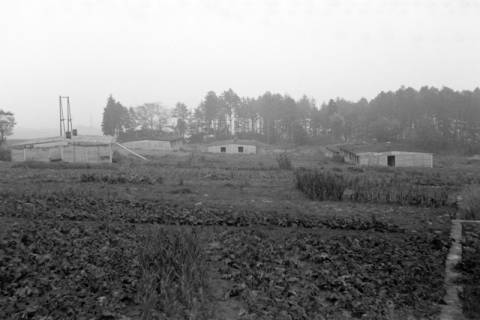 ARH NL Dierssen 1084/0009, Alte Baracken der Luther-Werke, Steinkrug, 1950