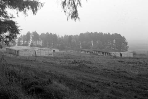 ARH NL Dierssen 1084/0010, Alte Baracken der Luther-Werke, Steinkrug, 1950