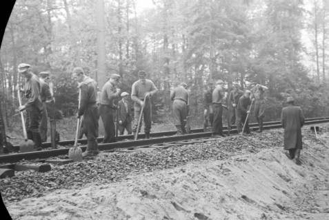 ARH NL Dierssen 1086/0005, Bau von Bahngleisen, Hänigsen, 1950