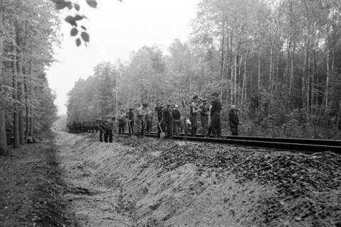 ARH NL Dierssen 1086/0006, Bau von Bahngleisen, Hänigsen, 1950
