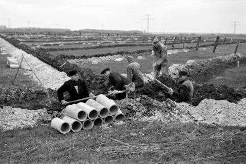 ARH NL Dierssen 1098/0024, Drainagearbeiten, Höver, 1950