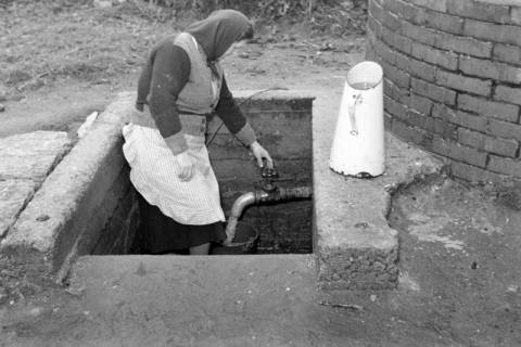 ARH NL Dierssen 1114/0011, Frau holt Wasser am Gemeindebrunnen, Müllingen, 1951