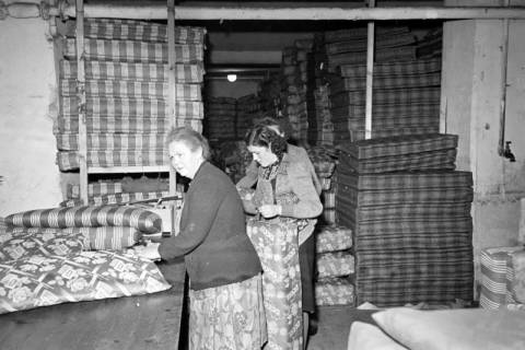 ARH NL Dierssen 1118/0020, Matratzenfabrik, Burgdorf, 1951