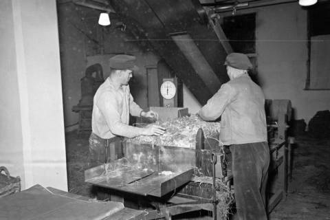 ARH NL Dierssen 1118/0021, Matratzenfabrik, Burgdorf, 1951