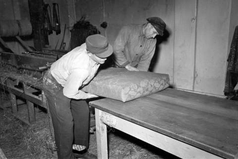 ARH NL Dierssen 1118/0022, Matratzenfabrik, Burgdorf, 1951