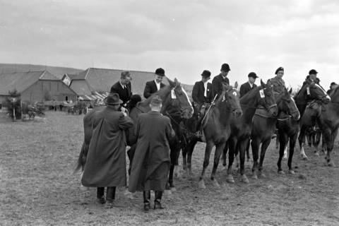 ARH NL Dierssen 1135/0004, Reiterfest, Springe, 1951