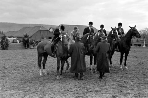 ARH NL Dierssen 1135/0005, Reiterfest, Springe, 1951