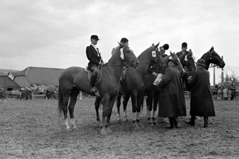 ARH NL Dierssen 1135/0006, Reiterfest, Springe, 1951