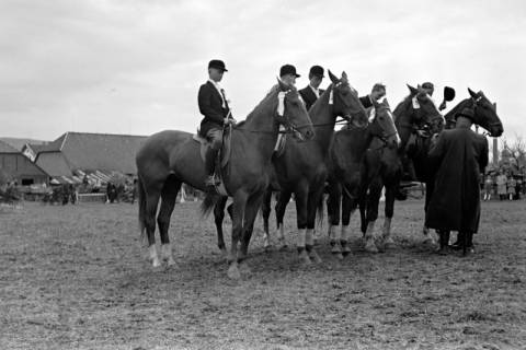 ARH NL Dierssen 1135/0007, Reiterfest, Springe, 1951