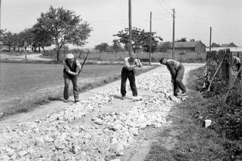 ARH NL Dierssen 1137/0001, Straßenbau in der Rosenstraße, Bennigsen, 1951