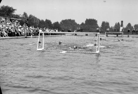 ARH NL Dierssen 1155/0023, Deutsche Wasserballmeisterschaft, Hannover, 1951