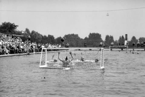 ARH NL Dierssen 1155/0024, Deutsche Wasserballmeisterschaft, Hannover, 1951