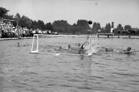 ARH NL Dierssen 1155/0025, Deutsche Wasserballmeisterschaft, Hannover, 1951